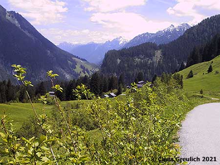 Foto: Saftige Wiesen auf dem Hochplateau über dem Lechtal